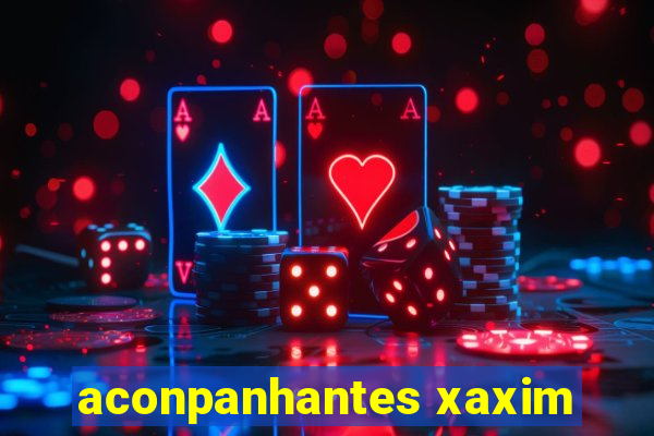 aconpanhantes xaxim